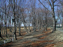 20060211_5.jpg(46977 byte)