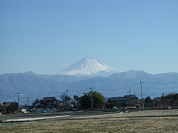 20060211_6.jpg(44128 byte)