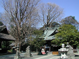 20060311_1.jpg(57137 byte)