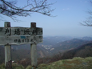 20060311_5.jpg(37366 byte)