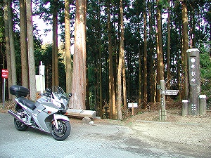 20060311_7.jpg(58937 byte)