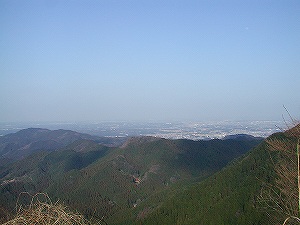 20060311_8.jpg(23022 byte)