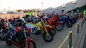 20060331_23.jpg(36845 byte)