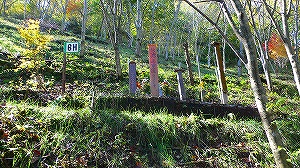 20071020_8.jpg(52086 byte)