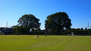 20071021_4.jpg(23417 byte)